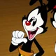 Yakko Warner