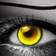 Yellow Eye