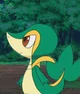 Snivy