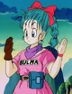 Bulma