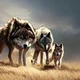 Sky Wolf Pack