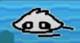 Squid pup