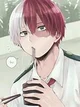 Shoto Todoroki -BF-