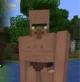 Buffed Villager