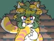 Medusa transfur