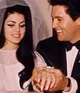Priscilla Presley