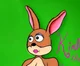 Kimberly Kangaroo