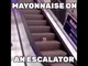 Mayo On An Escalator