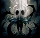 Hollow Knight RPG