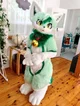 Sprout_furry_fox