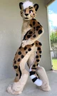 Lisa_furry_cheetah