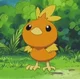 Torchic
