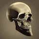 Humorus TalkingSkull