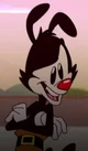 Yakko Warner