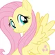 Fluttershy