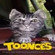 Toonces