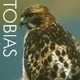 Tobias 