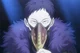 Overhaul