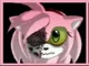 Sarks Amy Rose
