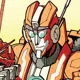 Rung -IDW-