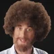 Bob Ross ERB