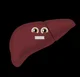 Liver