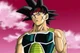 Bardock