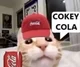 Cokey cola cat