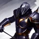 void knight
