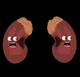 Kidneys
