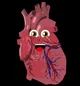 Heart