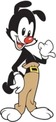 yakko warner