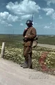 Romanian Soldier WW2