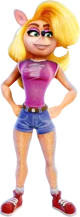 Tawna bandicoot 
