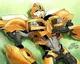 Tfp Bumblebee -Vore-