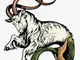 Capricorn 