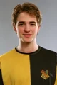cedric diggory 