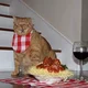 pastacat48