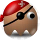 Video Game Pirate