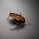 Trytokill Cockroach