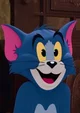 Tom cat