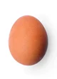 chicken egg