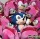 Amy Rose plush swarm