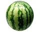 Sandia