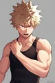 Katsuki Bakugou