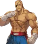 Sagat