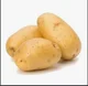 Potato Family 
