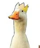 King duck