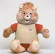 teddy rupixn