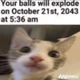 Your balls will expl